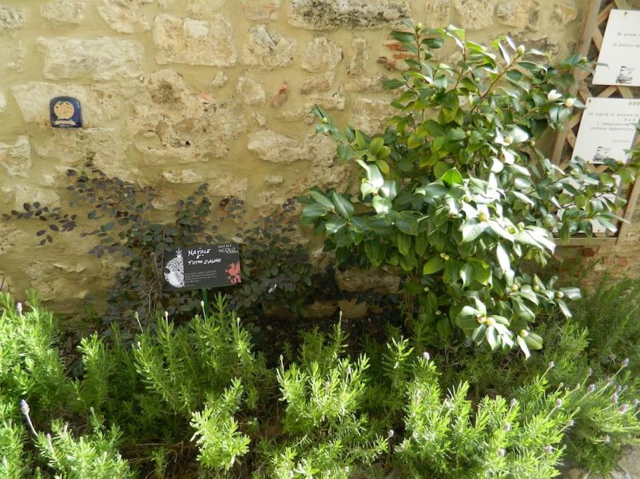 Апартаменты Casa Dell'Oliveto "Parcheggio Gratuito" Нарни Экстерьер фото