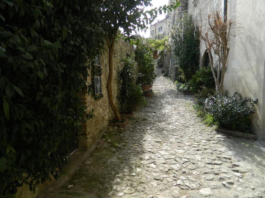 Апартаменты Casa Dell'Oliveto "Parcheggio Gratuito" Нарни Экстерьер фото